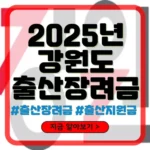 강원도 출산장려금