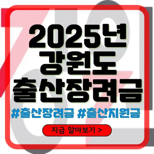 강원도 출산장려금