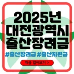 대전 출산장려금