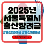 서울 출산장려금