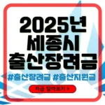 세종 출산장려금