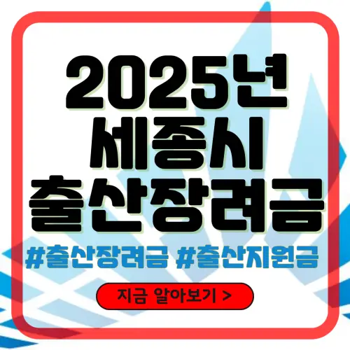 세종 출산장려금