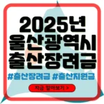 울산 출산장려금