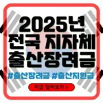 전국 출산장려금
