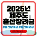제주도 출산장려금
