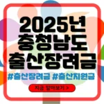 충청남도 출산장려금