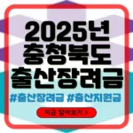 충청북도 출산장려금