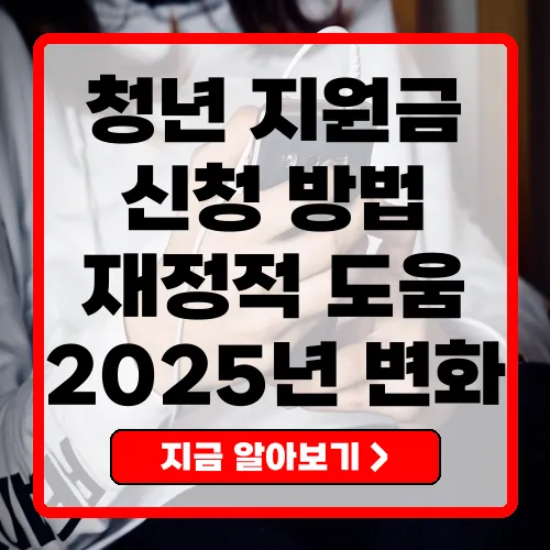 2025년 청년지원금 완벽 가이드 신청 방법과 조건