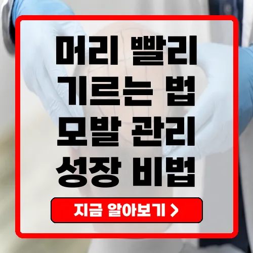 머리 빨리 기르는 법 건강한 모발을 위한 비법