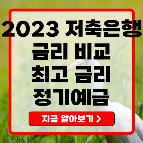 2023년 저축은행 금리 비교 가장 유리한 상품은 무엇인가