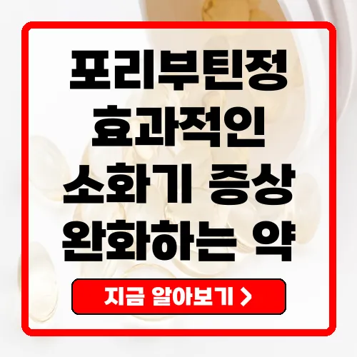 포리부틴정 소화기 증상을 완화하는 효과적인 치료제