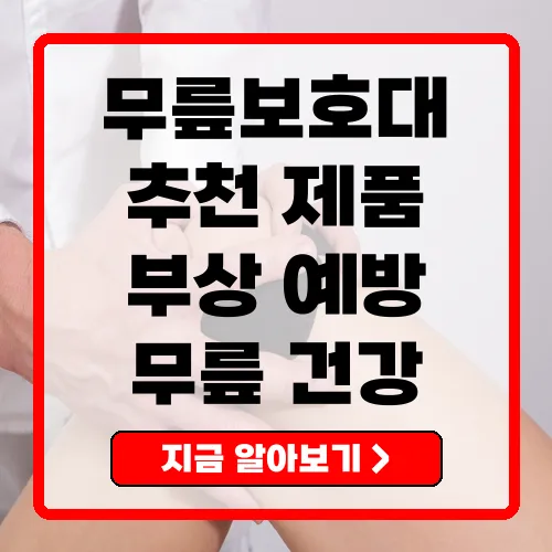 무릎보호대 추천 부상 예방과 회복을 위한 완벽 가이드