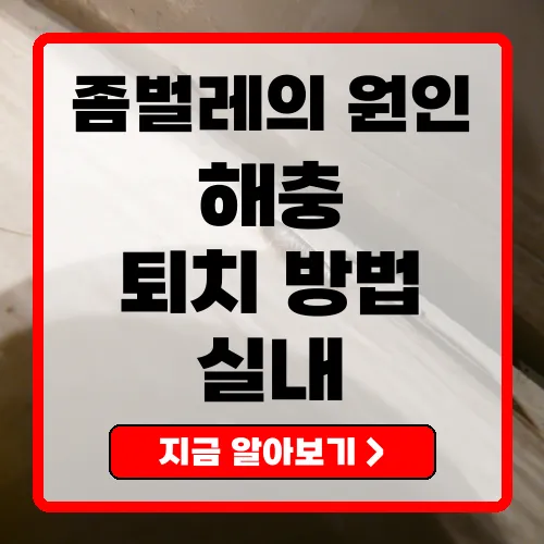 좀벌레의 생기는 이유와 원인