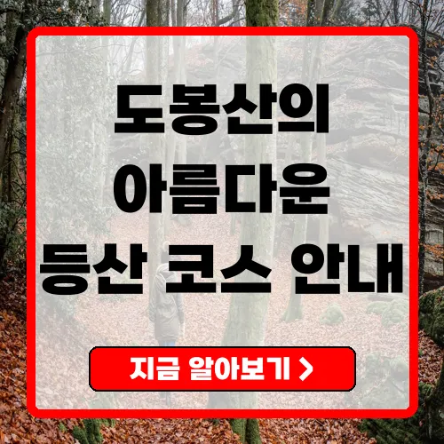 도봉산 등산코스 초보자부터 전문가까지 즐길 수 있는 다양한 경로