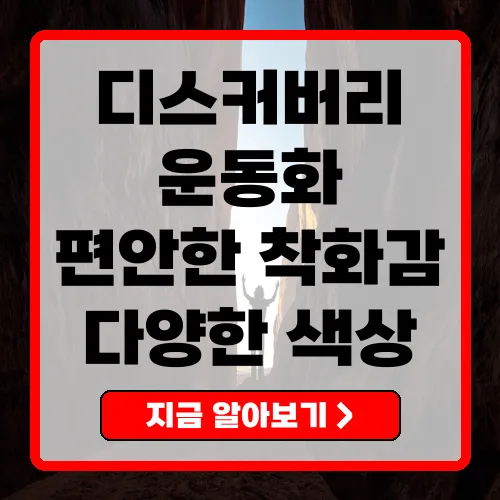 디스커버리운동화 최고의 선택과 특징