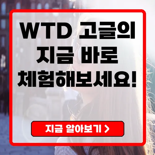WTD 고글 익스트림 스포츠의 필수 아이템