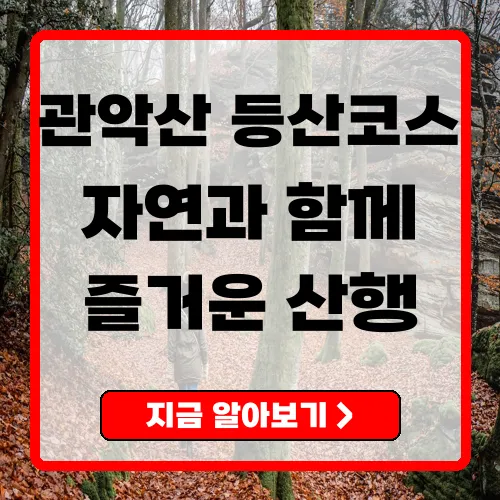 관악산 등산코스 완벽 가이드