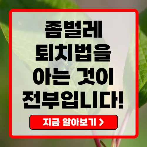 효과적인 좀벌레 퇴치법 총정리