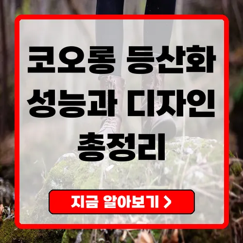 코오롱 등산화 성능과 디자인을 겸비한 최고의 선택