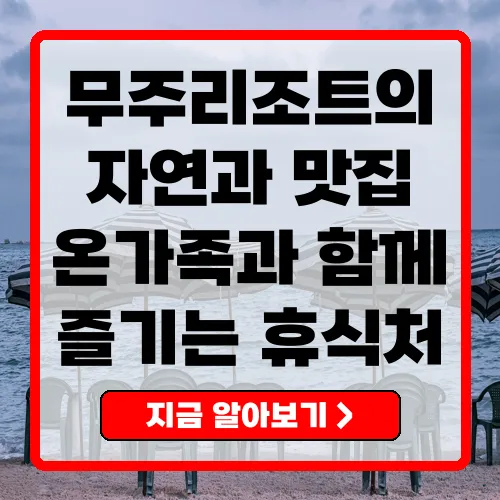 무주리조트 사계절 즐길 수 있는 레저와 맛집 탐방