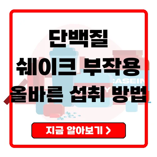 단백질 쉐이크 부작용과 올바른 섭취 방법