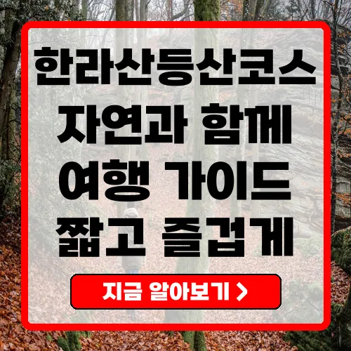 한라산 등산코스 완벽 가이드 초보자부터 전문가까지