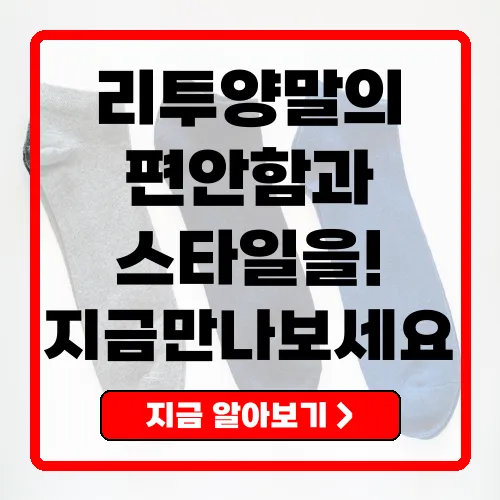 리투양말 편안함과 스타일을 겸비한 최적의 선택