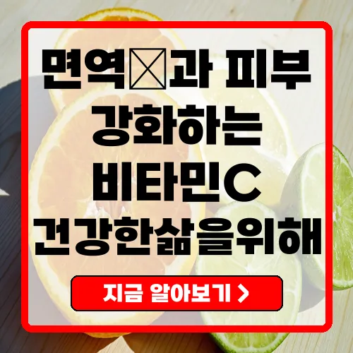메가도스 비타민C 면역력과 피부 건강을 위한 필수 안내서