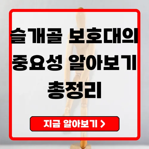 슬개골 보호대 운동선수부터 반려동물까지 모두의 필수 아이템