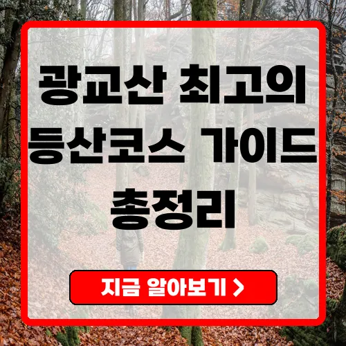 수원 광교산 등산코스 완벽 가이드