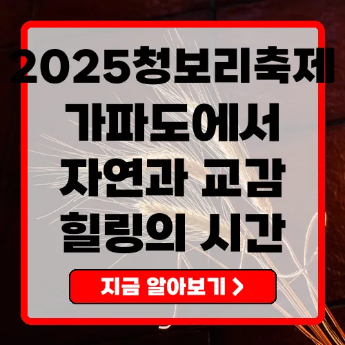 2025 제주 가파도 청보리축제 봄의 향연을 만끽하다