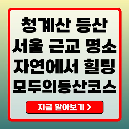 청계산 등산코스 초보부터 전문가까지 즐길 수 있는 서울 근교의 명산