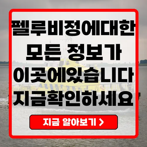 펠루비정 효과와 주의사항, 사용 가이드