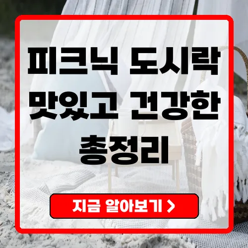 완벽한 피크닉을 위한 도시락 메뉴 추천과 보관 팁