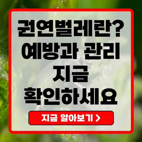권연벌레의 모든 것 예방과 관리 방법