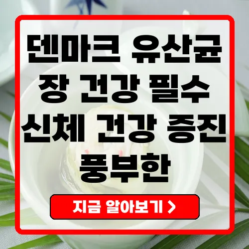 덴마크 유산균 건강한 장과 피부를 위한 필수 아이템