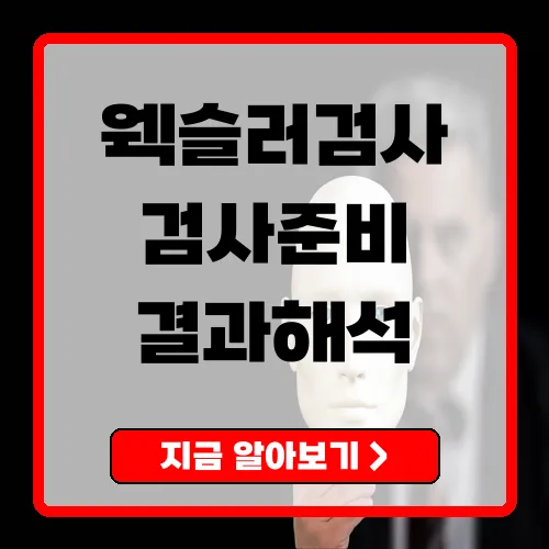 웩슬러지능검사 예약·검사·결과 해석까지 한눈에 보는 실전 가이드