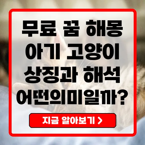무료꿈해몽풀이 아기 고양이에 담긴 비밀과 해석