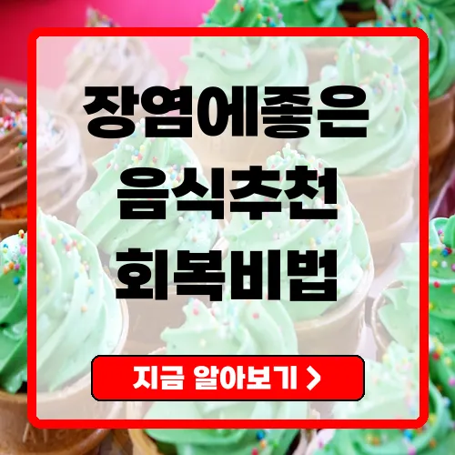 장염에좋은음식 가이드 회복을 돕는 안전한 식단과 피해야 할 음식