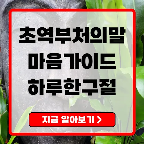 초역부처의말 리뷰와 실천 가이드 마음챙김으로 감정 치유하는 법