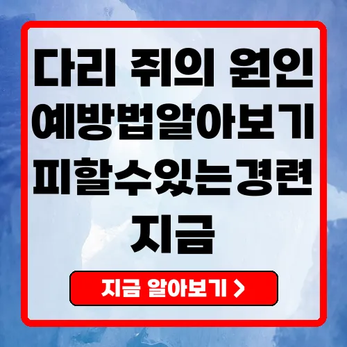 다리 쥐 나는 이유와 예방법 원인과 해결책 정리