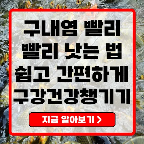 구내염 빨리 낫는 법 효과적인 치료와 예방 방법