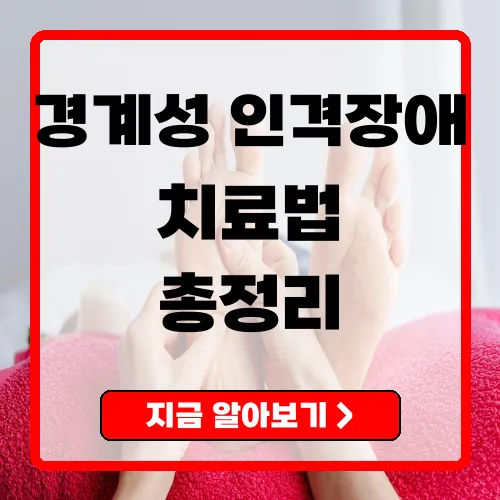 경계성인격장애 증상·진단·치료 가이드 — DBT부터 자가관리까지