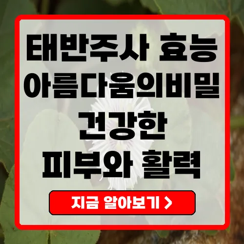 태반주사 효능 건강과 아름다움을 위한 놀라운 효과