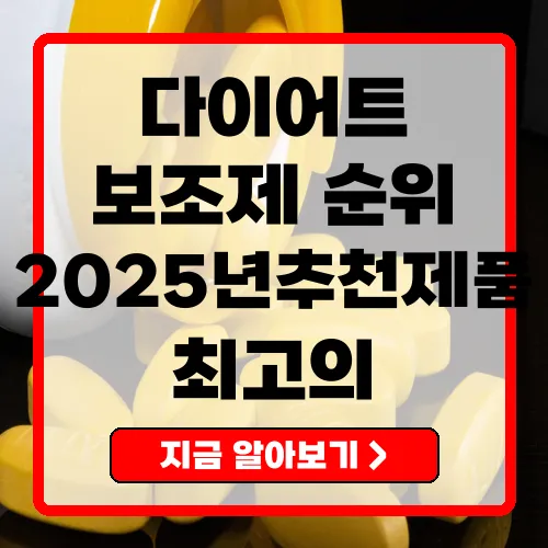 다이어트보조제순위 2025년 추천 제품 TOP 7