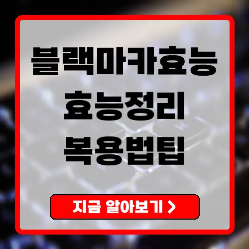 블랙마카효능 완전정리 성기능부터 에너지까지 과학적 근거와 복용법