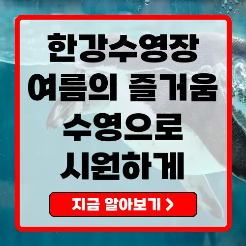 한강수영장 - 여름의 찬란한 수영 경험을 위한 완벽 안내서