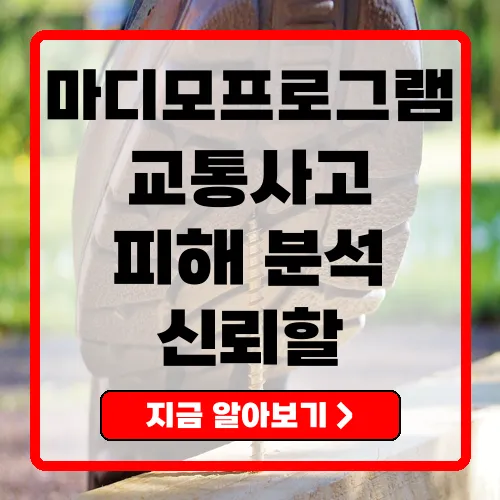 마디모 교통사고 피해자의 상해 분석을 위한 혁신적 프로그램