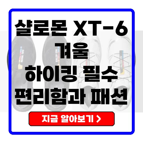 겨울철 하이킹의 필수템, 샬로몬 XT-6 GTX 고어텍스 운동화