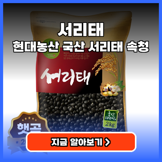 서리태 현대농산 국산 서리태 속청 2kg 구매팁